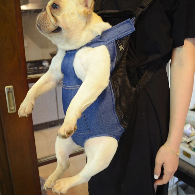 Borsa da viaggio cane zaino imbracatura uomo zaino cane porta cuccioli petto
