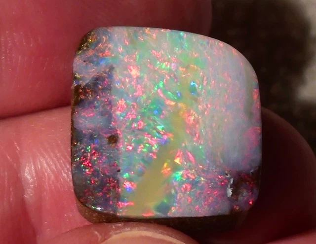 Sublime Multicolore Classe de Gem Opale Boulder 21,4ct. Avec Video