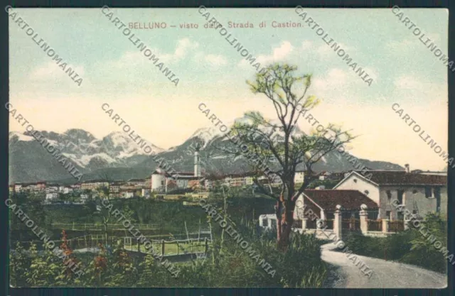 Belluno città cartolina RB4585