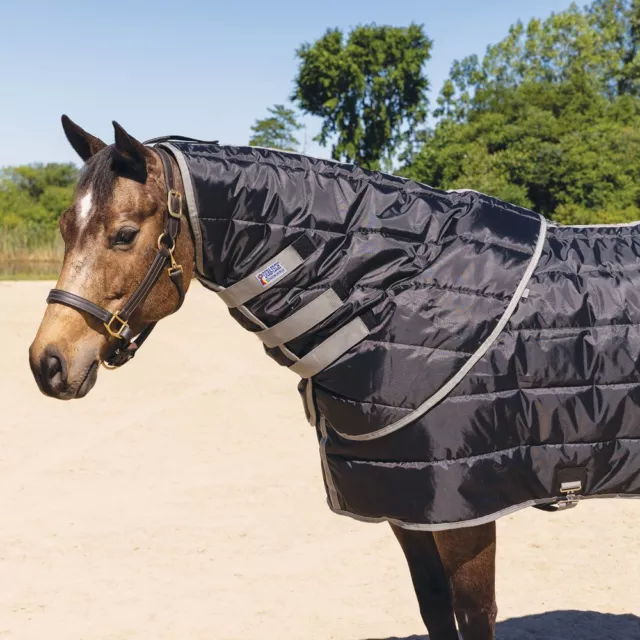 Dura-Tech Memphis Medium Weight Stable Horse Neck Cover | Various Size and Color