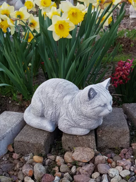 Massif Sculpture en Pierre Chat Chaton Kater Décoration D'Espace fonte de Moulé 3