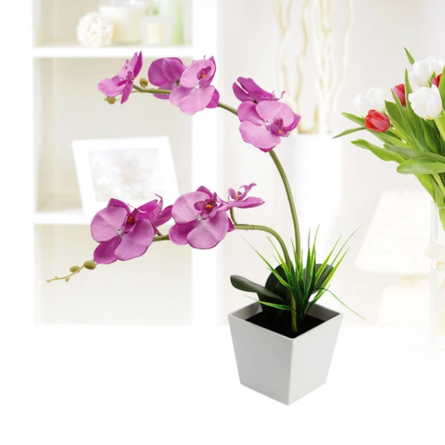 Albero Di Eucalipto Artificiale HomeZone – Pianta Finta Realistica In Vaso – Altezza 85 Cm