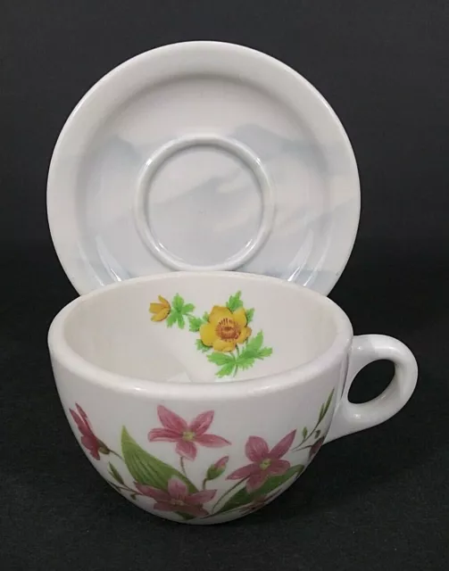 SYRACUSE Great Northern Railroad Mountains & Flowers Pattern Cup & Saucer Set