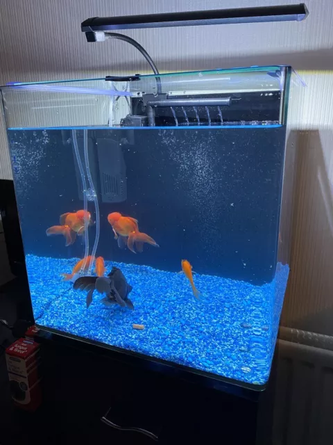 Pets At Home Aqua One 55L Fish Tank Collection Only B66 3