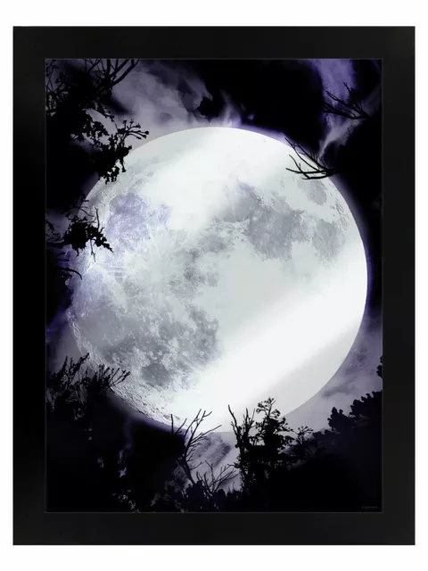 Celestial Moon Mirrored Tin Sign, Luna, Night Sky, Spook, Lycan, Gothic Gift