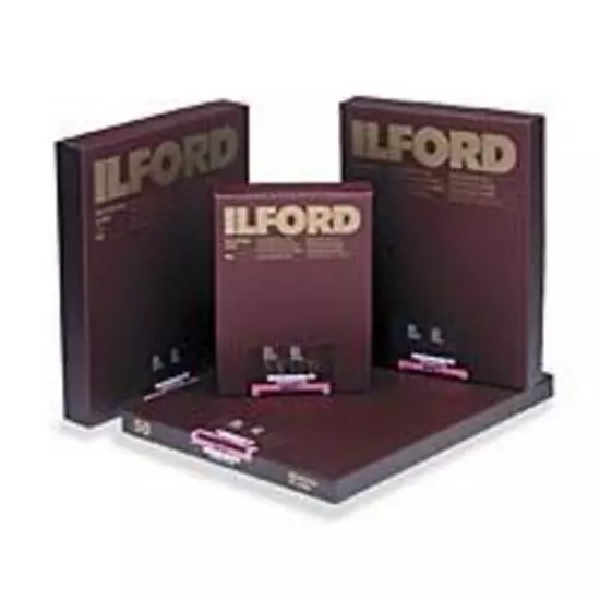 Ilford Multigrade FB Sepia/Warmton 18 x 24 cm, 1K glossy, 100 Blatt