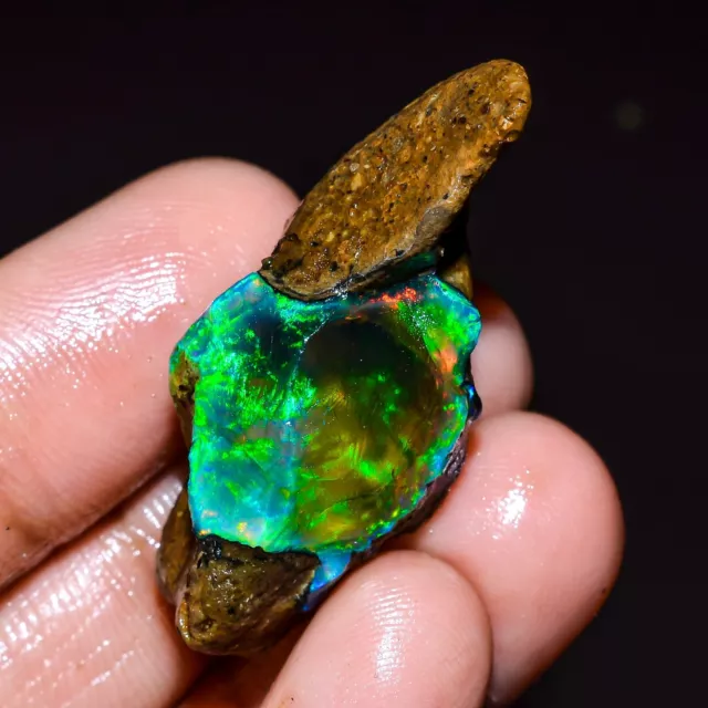 Ethiopian opal rough Welo Feu Noir Brut Opale Cristal Pierre Précieuse 26 CT