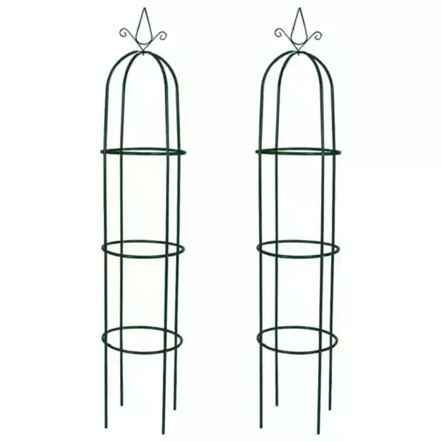 Arche de jardin en forme de tour 2 pcs vidaXL