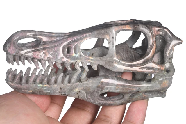 Coleccionables de talla T-Rex tallados en piedra lunar natural de 5,04" 35D13