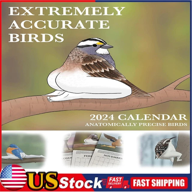 US 2024 CALENDAR Of Extremely Accurate Birds 2024 Bird Calendar Wall