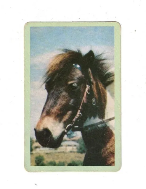 Swap Card - Original Golden Fleece 1960's - Blue No. 9B - The Pony