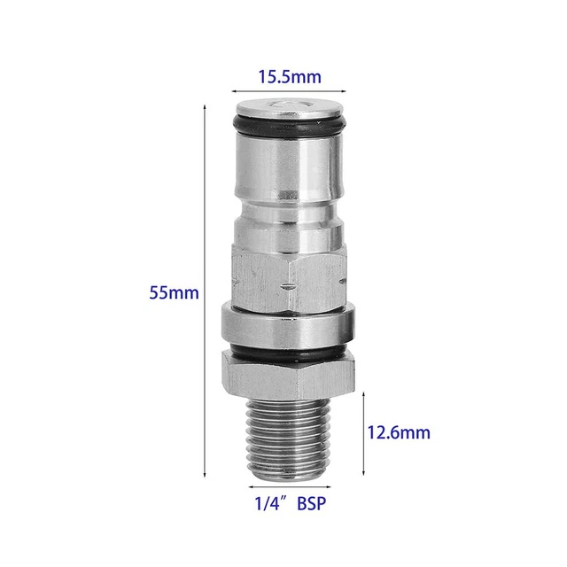 Verleihung Der Ovalen Verdienste 2024 Im Maschio Angioino