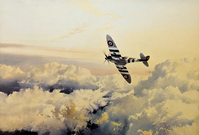 ROBERT TAYLOR WINGS OF WAR パズル 1000ピース ROBERT TAYLOR WINGS OF WAR パズル 1000ピース ROBERT TAYLOR
