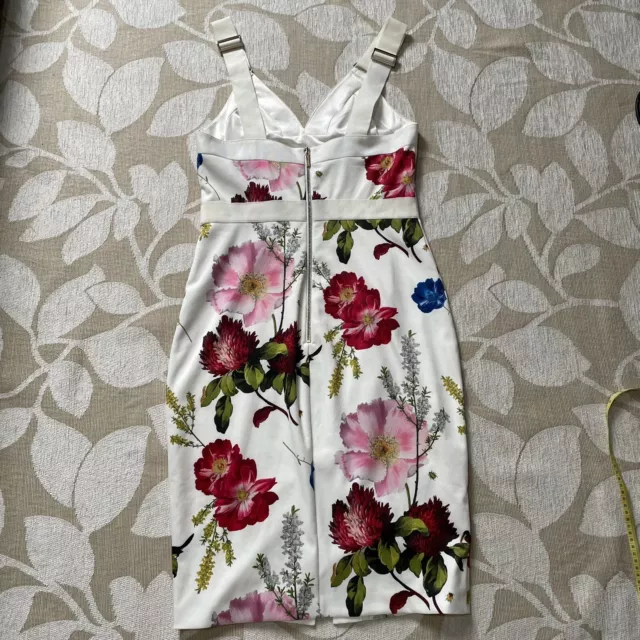 Ted baker sales amylia dress