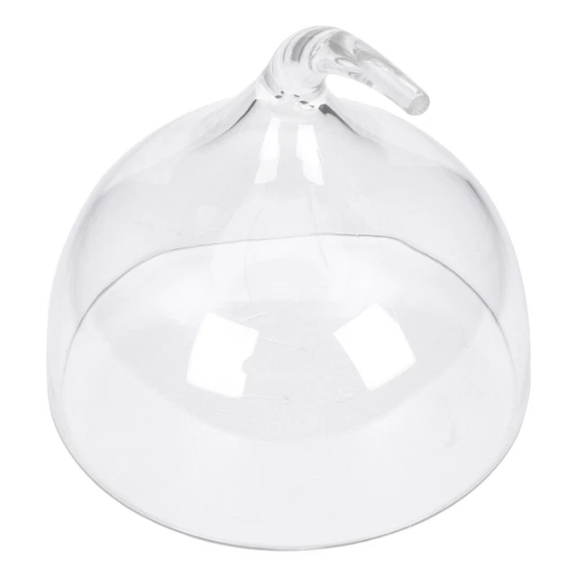Acryl Staubschutzhaube Deckel Des Speisetellers Lebensmittel Glas