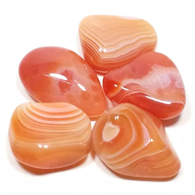 Apricot Orange Botswana Agate Tumbled Polished Stone, 5 Pc Set, Avg Size 0.85"