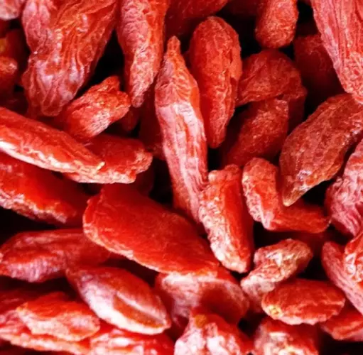 Goji ( Lycium barbarum ) 100 semillas - seeds - gogi