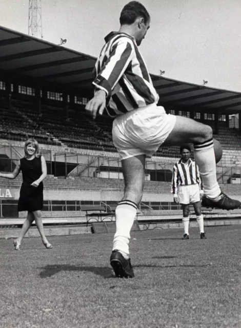 Vintage Press Photo Juventus, Goich, De Paoli, Cinesinho, 1967, print 27 X 21 CM