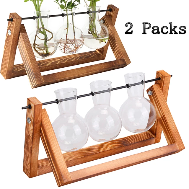 2 PACK PLANT Terrarium with Wooden Stand Air Planter Bulb Glass Vase