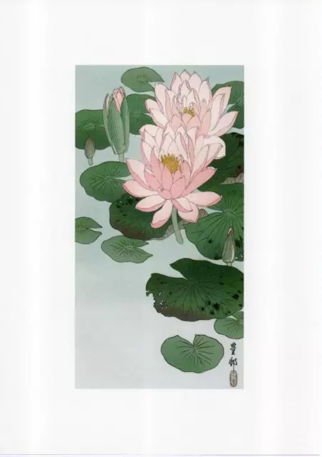 Ohara Koson Japanese Reproduction Woodblock Water Lily