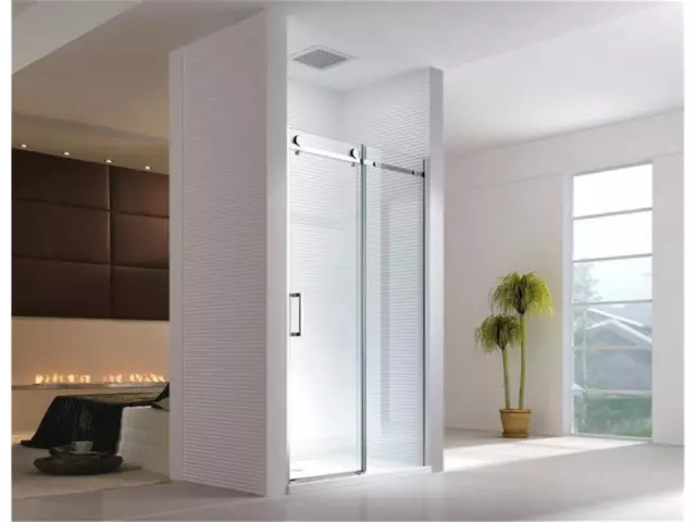 Glaszentrum Hagen - 100x195cm Porte de niche cabine de douche - sans bac 3