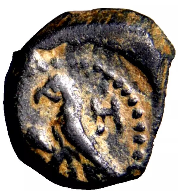 NABATAEA. Aretas IV. 9 BC-AD 40. Æ 11mm RARE EAGLE Greek Coin Ancient COA