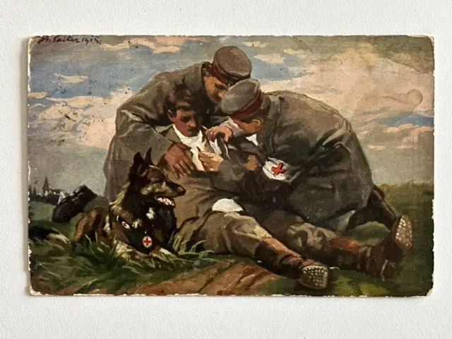 Seltene AK Wohlfahrts-Postkarte Deutsches Reich "Der Sanitätshund im Felde" 1916