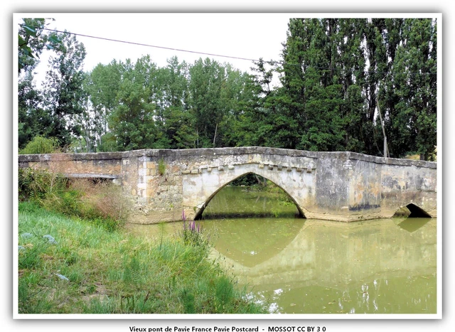 Vieux pont de Pavie France Pavie Postcard