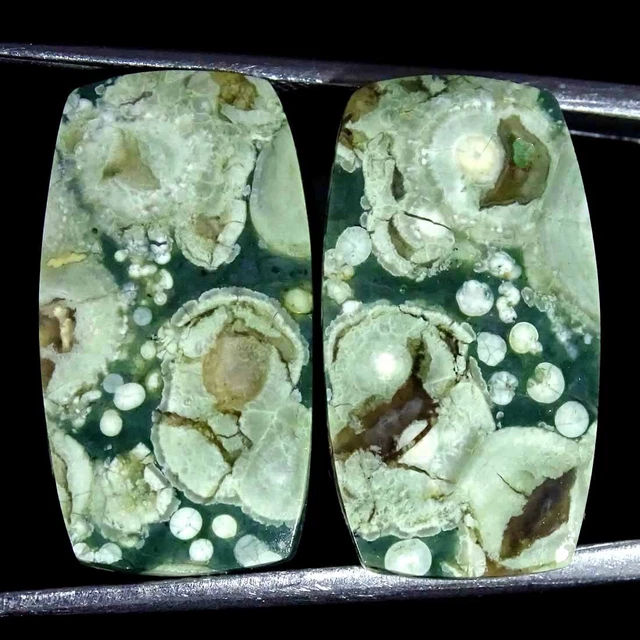 17.20Cts Natürlich Regenwald Jaspis Paar Rhyolite Kissen Cabochon Lose Edelsteim