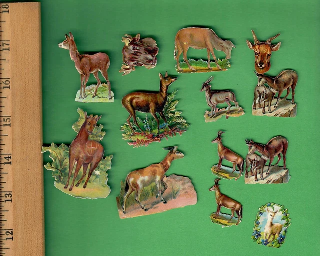 Victorian Die Cut Tiny Scrap - Lot Of 12 Pieces - Deer