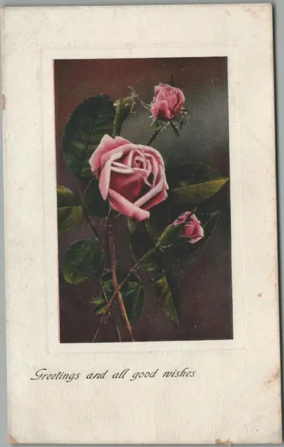 Fort Ann NY New York Greetings and All Good Wishes Pink Roses White Frame 1910