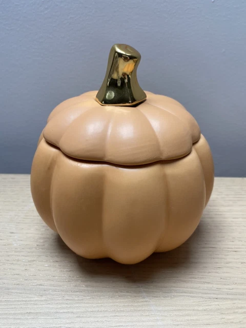 NEW HOMESENSE TKMAXX Halloween DW Home Pumpkin Shaped Spice Candle