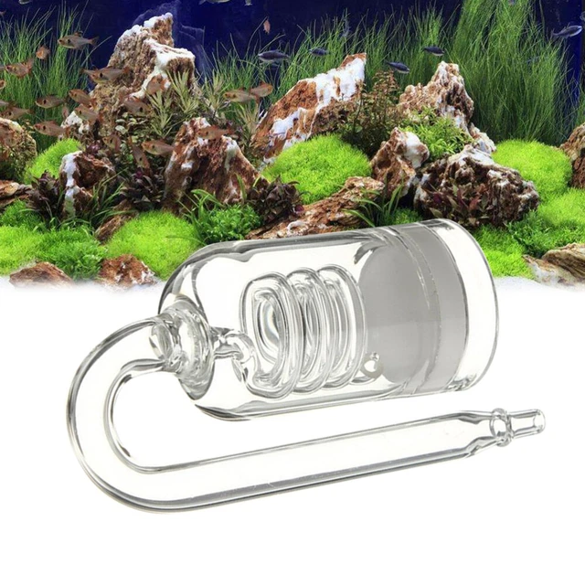 Difusor de vidrio de plantas C02 ventosas para pecera