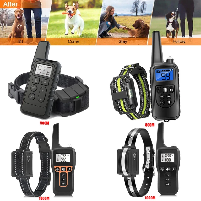 Hundehalsband XS 1000m Fernbedienung Hundeerziehungshalsband  Wasserdicht  Mit Vibration, Ton & E-Shock (IPX7, 2 Kanle)