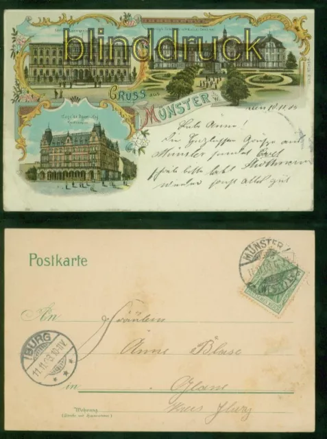 Münster i. Westf. Litho-AK Gruss aus ..... drei Ansichten 1903 nach Iburg (d9428