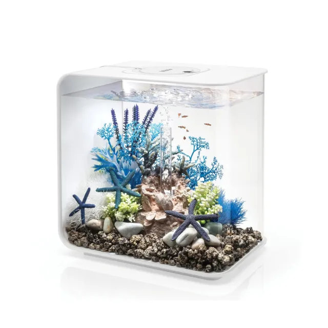 biOrb Flow 30 Acrylic 8-Gallon Aquarium with White LED Lights Modern Tank for...