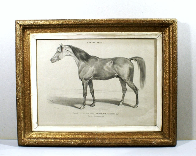 Gravure Ancienne Encadrée - Scène De Chasse Braconnier - XIXe