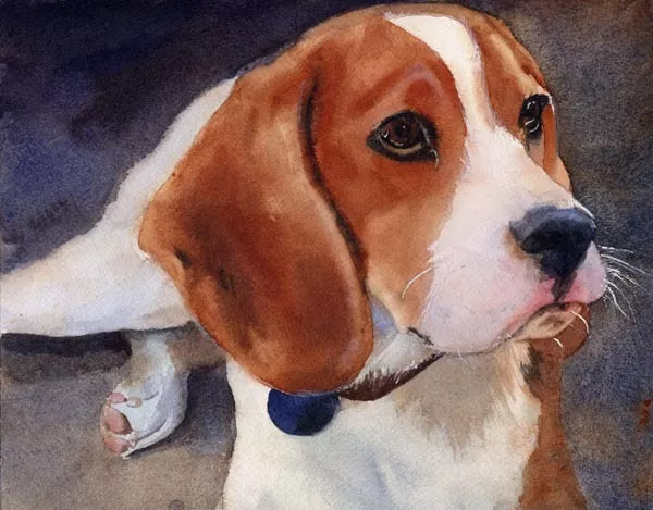 Giclee PRINT Watercolor Beagle Hound Dog Painting Art Pet Portrait