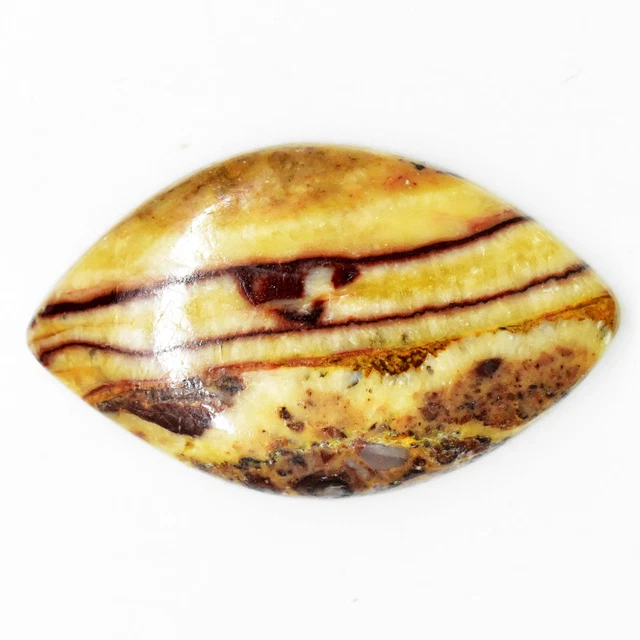 26.60 Cts Natural Multi Color Peanut Wood Jasper Cabochon Certified AA+ Gemstone