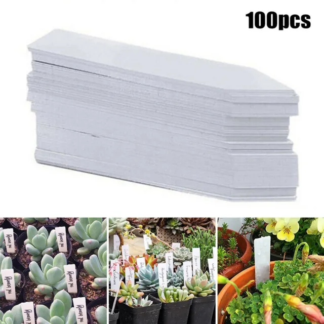 100PCS Plant Marker Garden Labels Flexible Plastic Tags Nursery 10x2cm   .