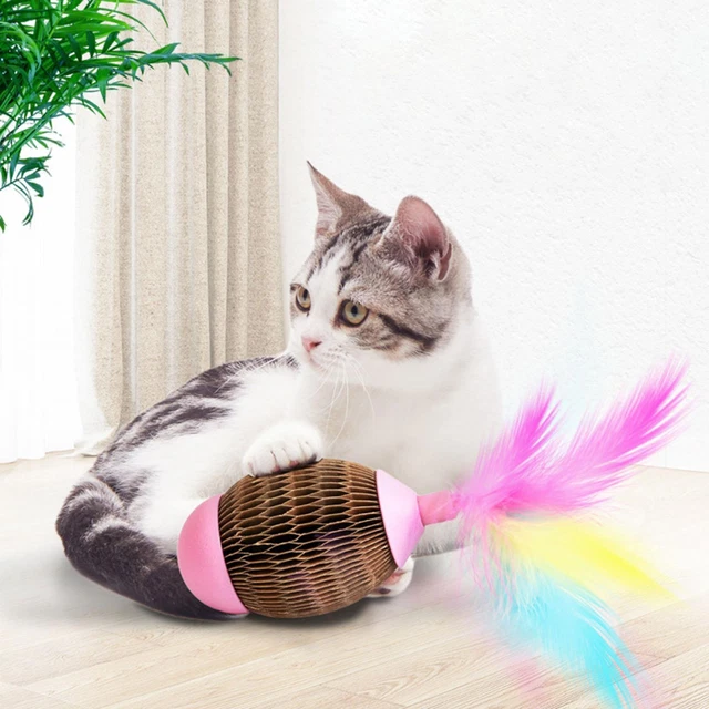 Jouets interactifs de chaton de teaser de chat   drôle de boule de