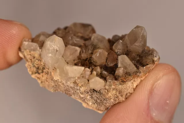 *AUSTRALIAN* SMOKEY QUARTZ Crystal 4cm 19g Cluster Natural Torrington NSW