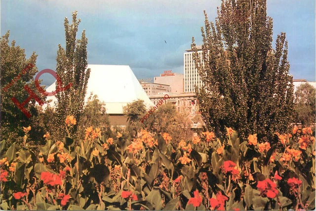 Picture Postcard:;Adelaide, Festival Theatre and Skyline