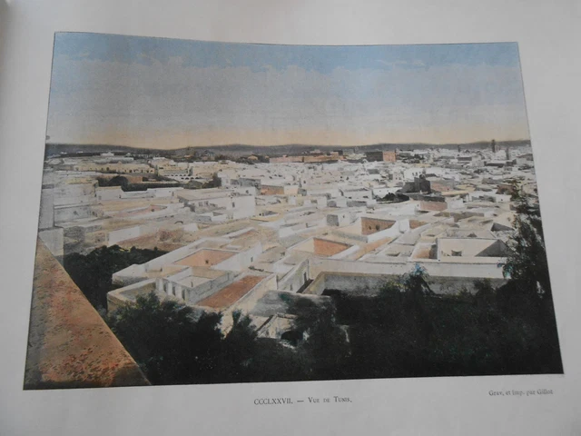 Tunisie - Vue de Tunis Photochromie Gravure fin 19ème