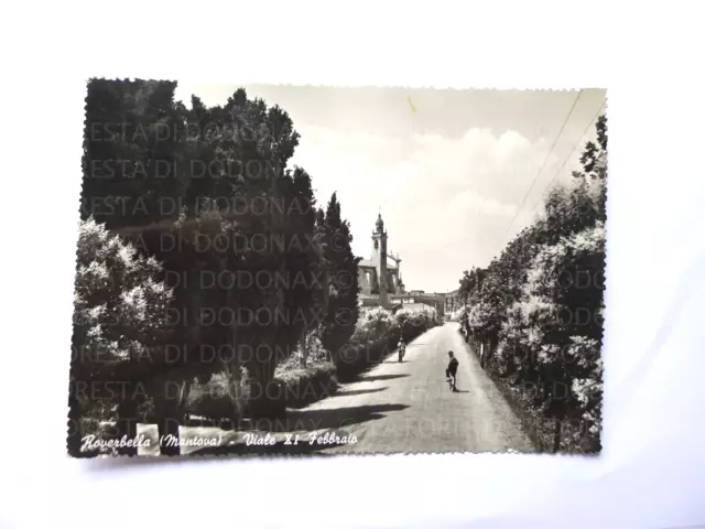 Vecchia  Foto Cartolina Vintage Roverbella Viale Xi Febbraio Mn