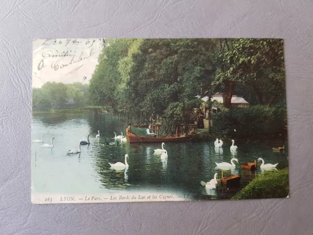 CPA / Carte postale ancienne - LYON Le parc Les bords du lac et les cygnes (69)