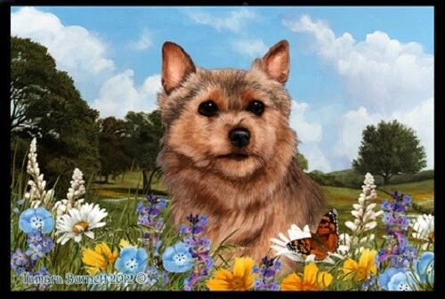 Summer Floor Mat - Norwich Terrier 39152