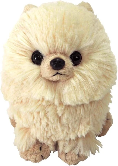 Paps! Plush S Pomeranian be P-5962