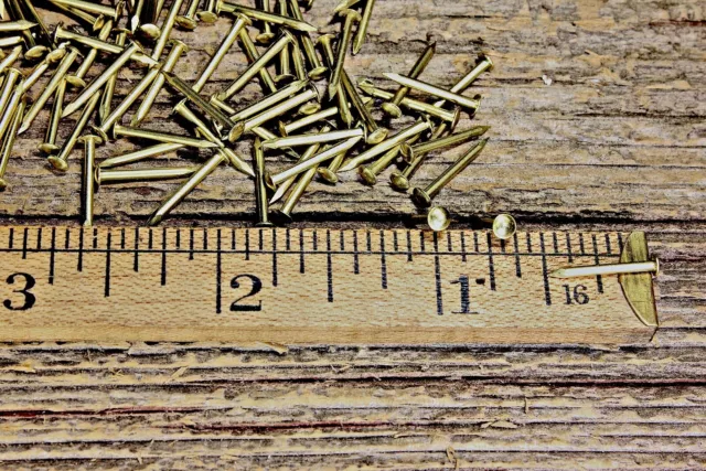 1/2” SOLID BRASS BRADS 100 NAILS Round Head 18 gauge Escutcheon pins USA made! 3