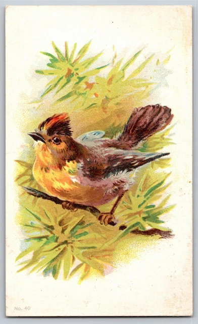 Wm. Smith & Co. Druggists York, PA Victorian Trade Card Wright's Indian Veg. Oil